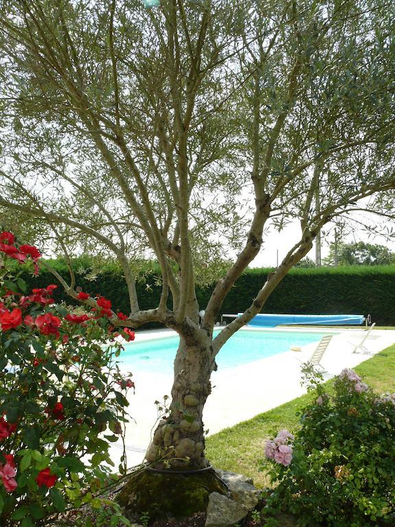 Le Clos De La Vigne Montreuil  Buitenkant foto